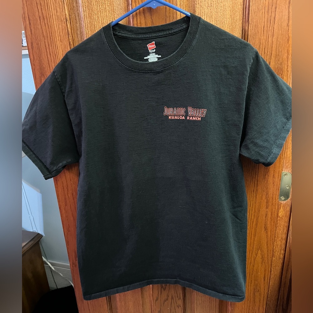 Vintage Hanes Jurassic Valley Shirt M